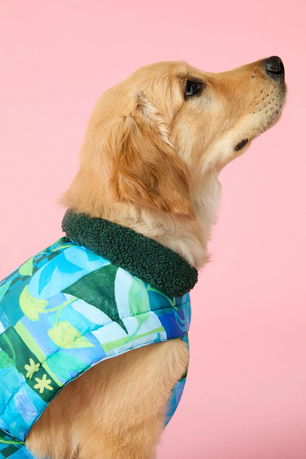 Leaves Dog Puffer - Image 2