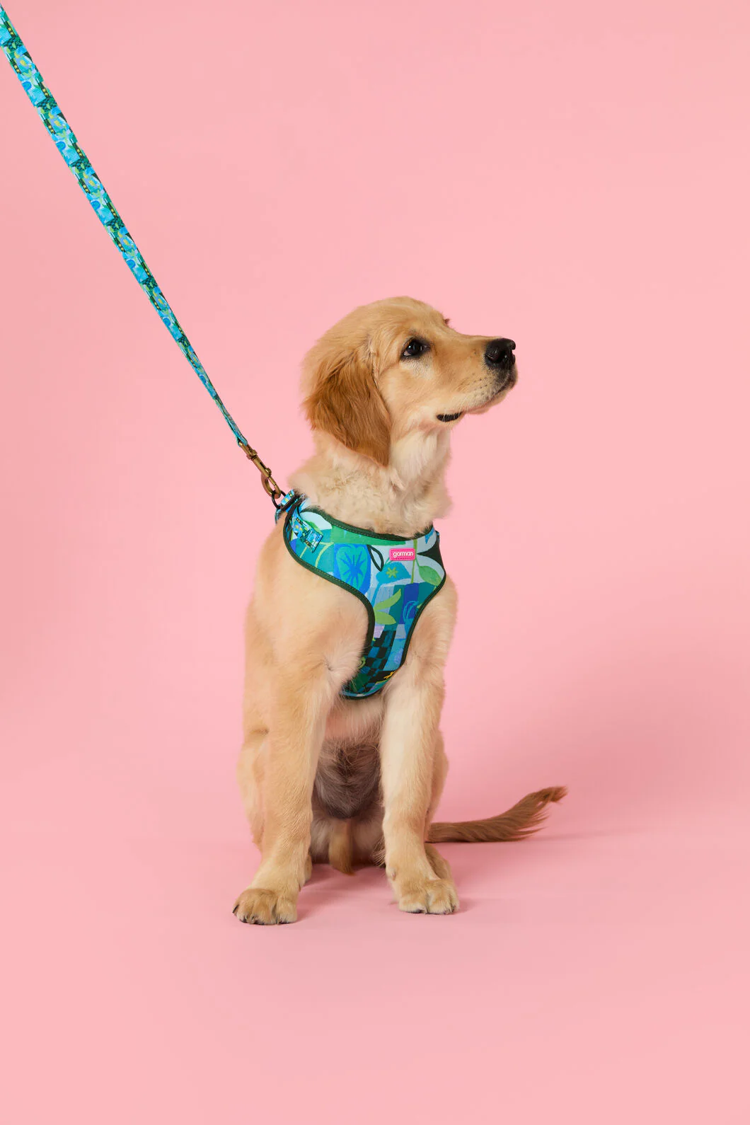 Leaves Pet Gift Set