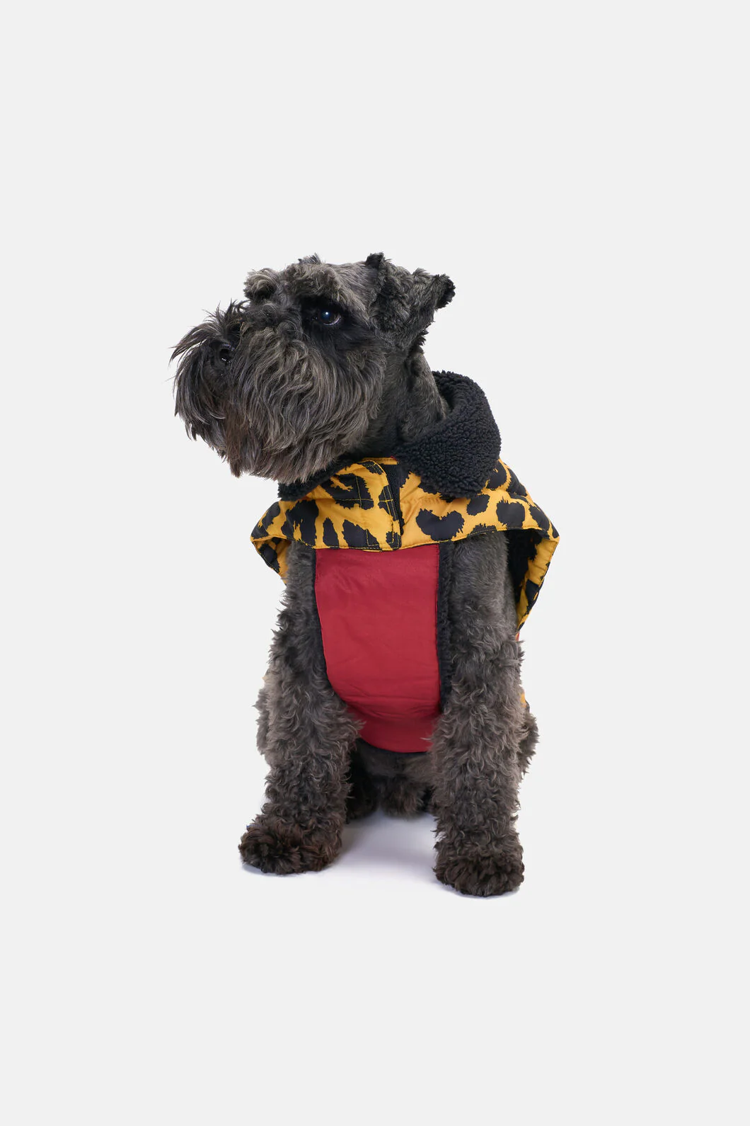 Leopard Dog Puffer Coat - Image 3
