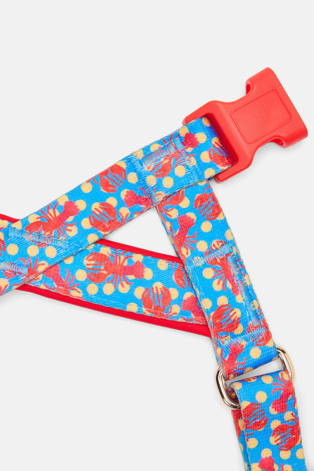 Lobster Pet Harness Large - Image 3