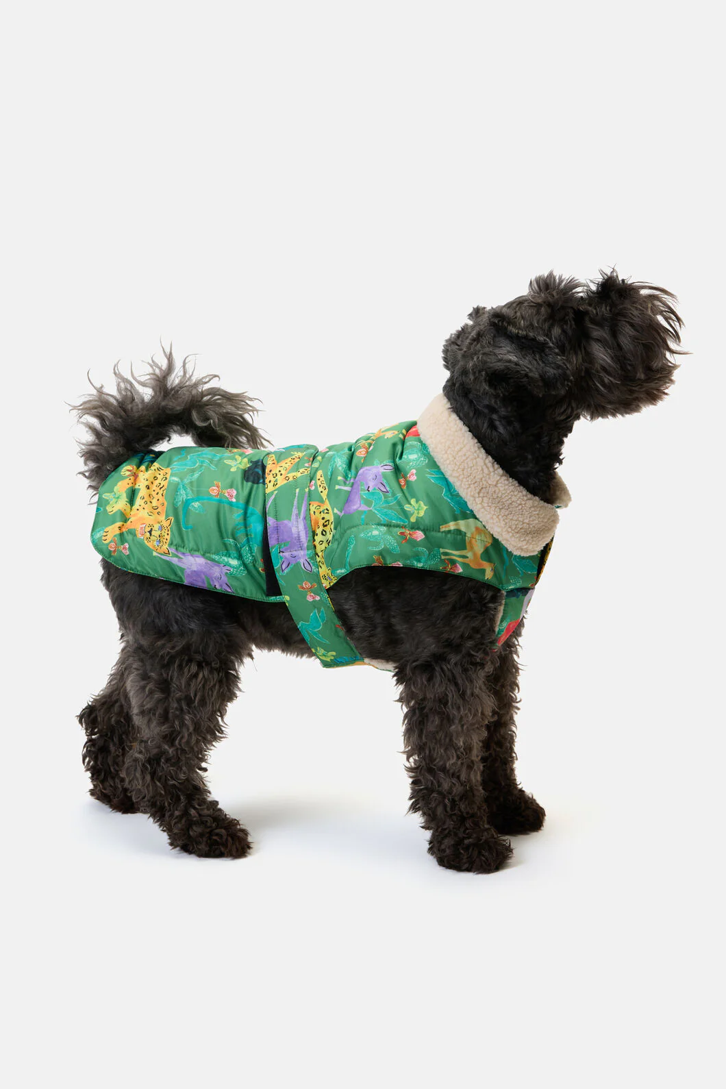 Orchid Safari Dog Puffer Coat - Image 3