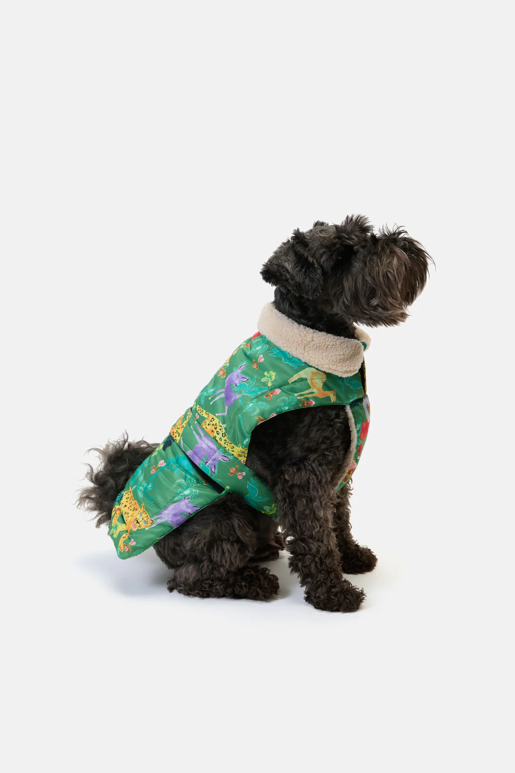 Orchid Safari Dog Puffer Coat - Image 4