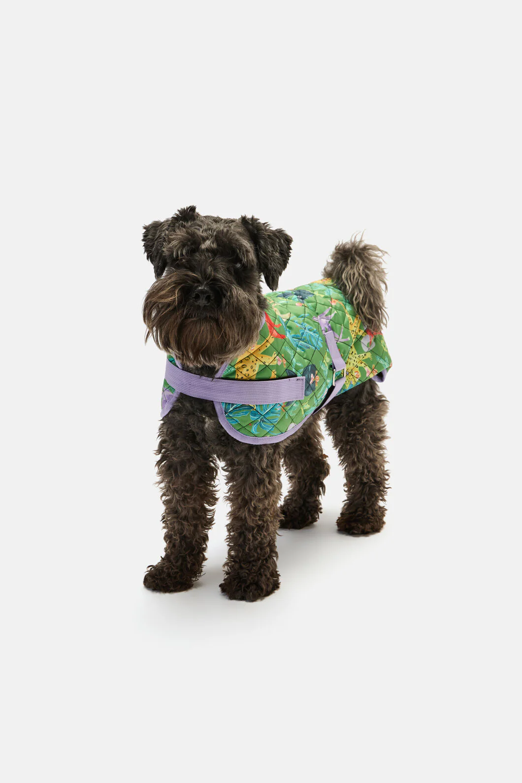 Orchid Safari Quilted Dog Coat - Image 3