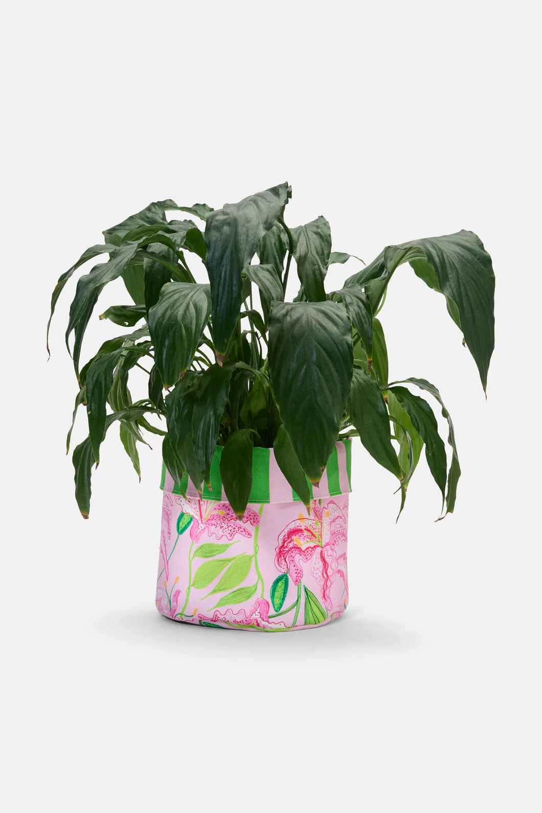 Pop Lily Planter Large - Image 3