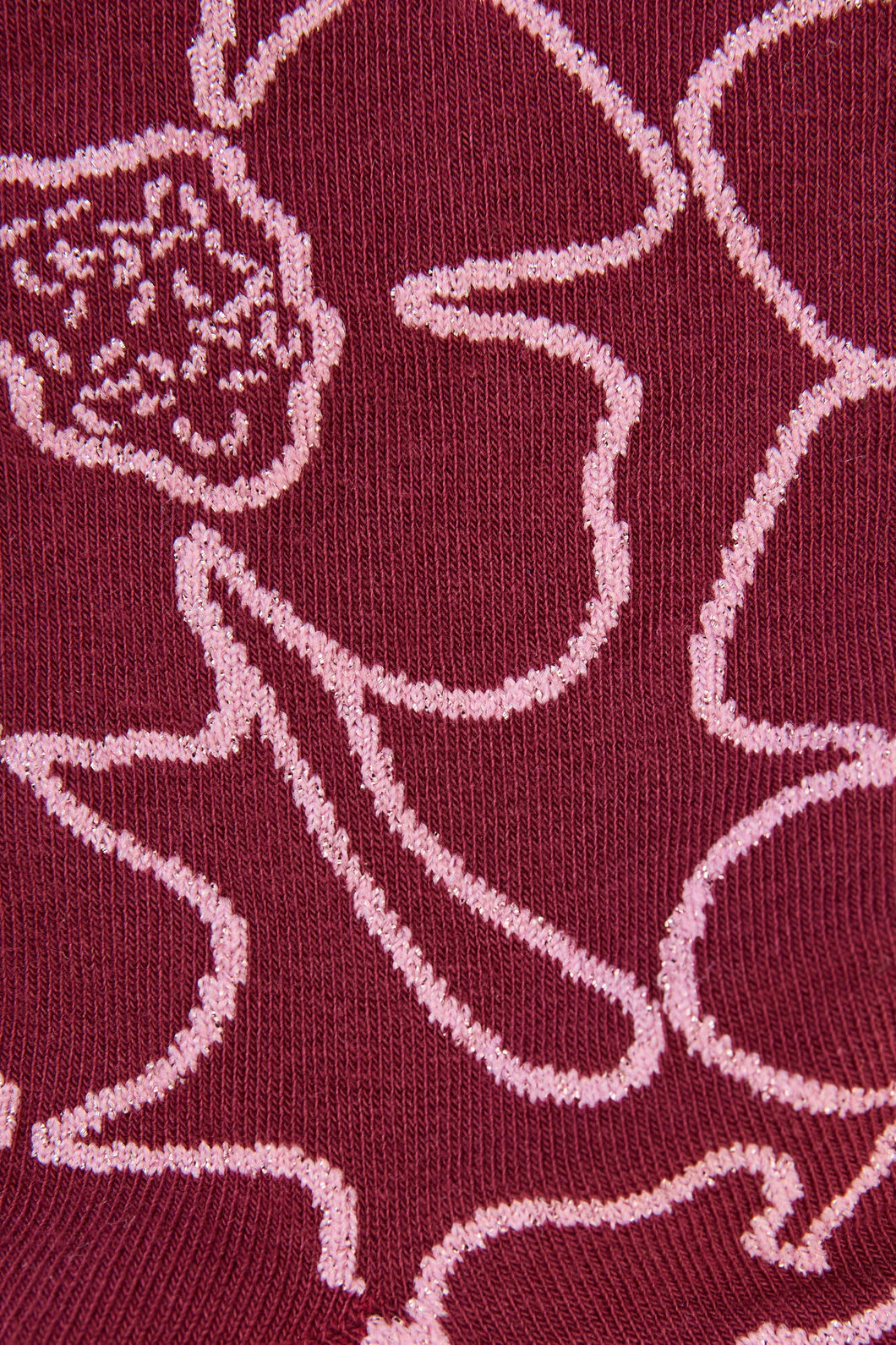 Seedlings Sock Maroon - Image 2